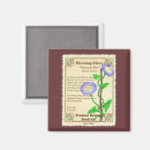 Morning Glory Seed Packet Magneet (Voorkant / Achterkant)