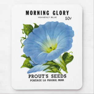 Morning Glory  Seed Packet Muismat