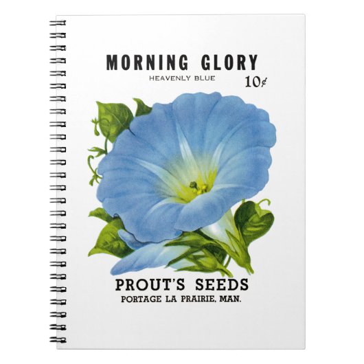 Morning Glory Seed Packet Notitieboek (Voorkant)