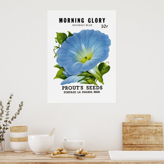 Morning Glory  Seed Packet Poster (Keuken)