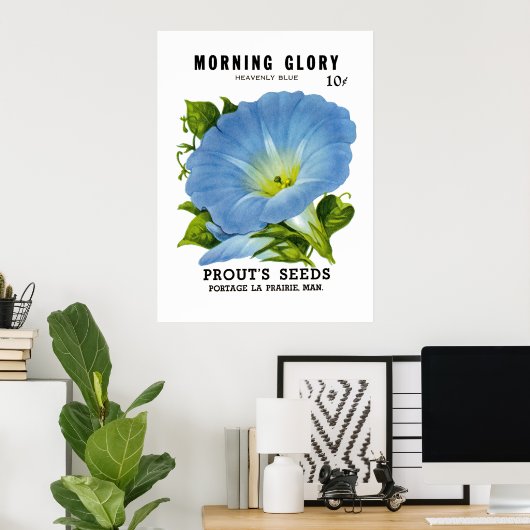 Morning Glory Seed Packet Poster (Thuiskantoor)
