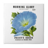 Morning Glory  Seed Packet Tegeltje (Voorkant)