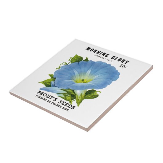 Morning Glory  Seed Packet Tegeltje (Zijkant)