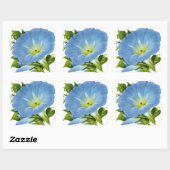 Morning Glory  Seed Packet Vierkante Sticker (Vel)