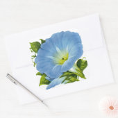 Morning Glory  Seed Packet Vierkante Sticker (Envelop)
