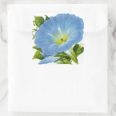 Morning Glory  Seed Packet Vierkante Sticker (Tas)