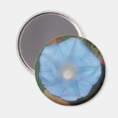 Morning Glory Star Magneet (Voorkant / Achterkant)