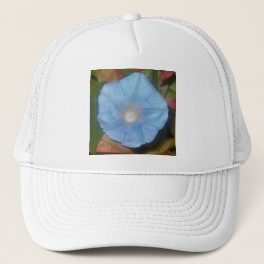 Morning Glory Star Trucker Pet (Voorkant)