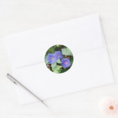 Morning Glory Stickers (Envelop)