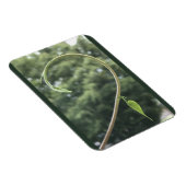 Morning Glory Tendril and Leaf Magnet Magneet (Rechterzijde)
