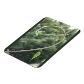 Morning Glory Tendril and Leaf Magnet Magneet (Linkerzijde)