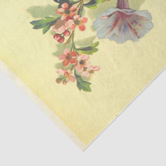 morning glory tissuepapier (Detail)