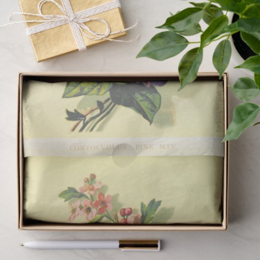 morning glory tissuepapier (Geschenk)