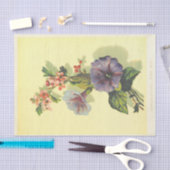 morning glory tissuepapier (Craft)