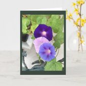 Morning Glory Trio Blanco kaart (Gele Bloem)