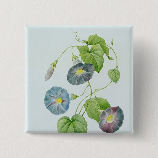 morning glory vierkante button 5,1 cm (Voorkant)