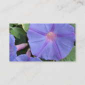 Morning Glory Visitekaartje (Achterkant)