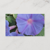 Morning Glory Visitekaartje (Achterkant)
