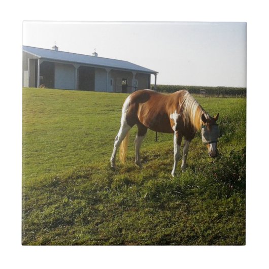 Morning Graze Tegeltje (Voorkant)