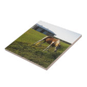 Morning Graze Tegeltje (Zijkant)
