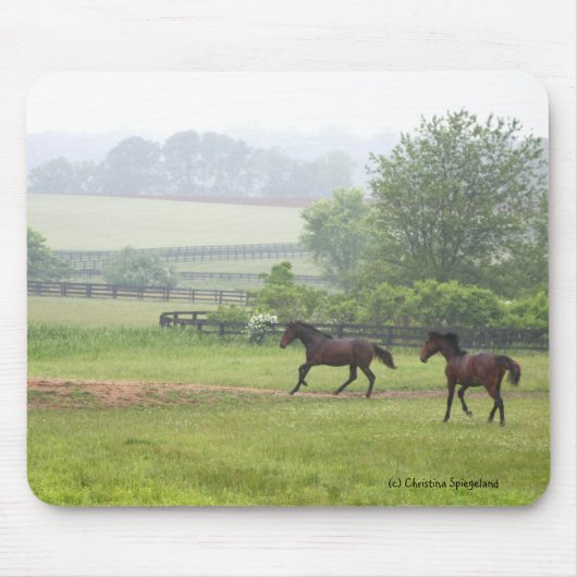 Morning Horses die Mousepad runnen Muismat (Voorkant)