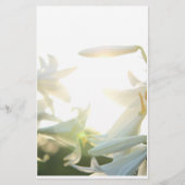 Morning Joy Briefpapier (Voorkant)