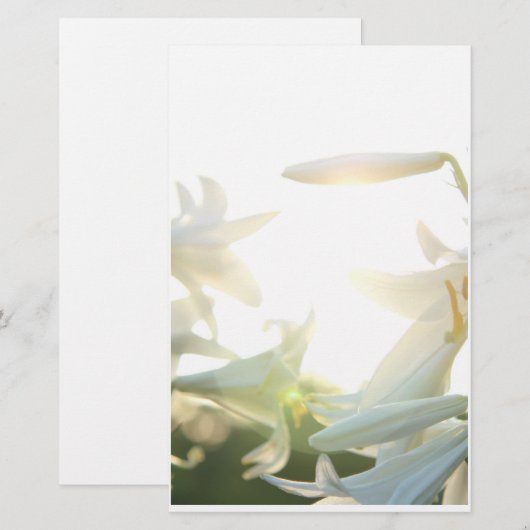 Morning Joy Briefpapier (Voorkant / Achterkant)