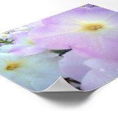 Morning Kisses Poster (Hoek)