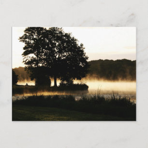 Morning Lake Scene PCM Briefkaart