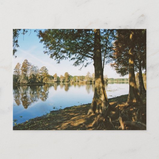 Morning Light Briefkaart (Voorkant)