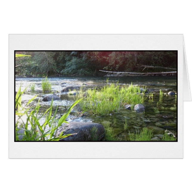 Morning Light op de Cowichan rivier (Voorkant Horizontaal)