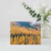 Morning Light op de strand | Tybee Island Briefkaart (Staand voorkant)