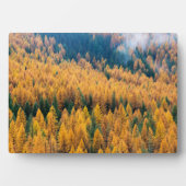 Morning Light op de strand | Tybee Island Fotoplaat (voorkant)