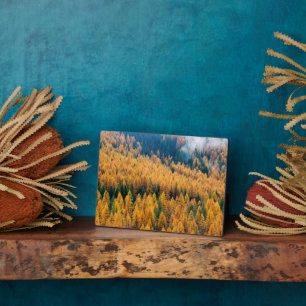 Morning Light op de strand Tybee Island Fotoplaat