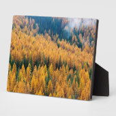 Morning Light op de strand | Tybee Island Fotoplaat (Zijkant)