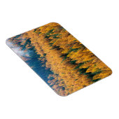 Morning Light op de strand | Tybee Island Magneet (Rechterzijde)