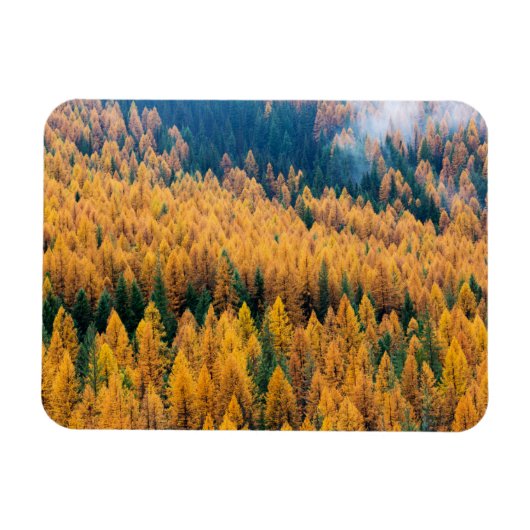 Morning Light op de strand | Tybee Island Magneet (Horizontaal)