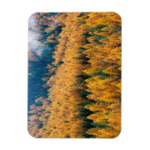 Morning Light op de strand | Tybee Island Magneet (Verticaal)