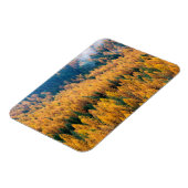 Morning Light op de strand | Tybee Island Magneet (Linkerzijde)