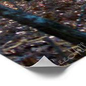 Morning Light op het winterspoor Poster (Hoek)