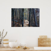 Morning Light op het winterspoor Poster (Keuken)