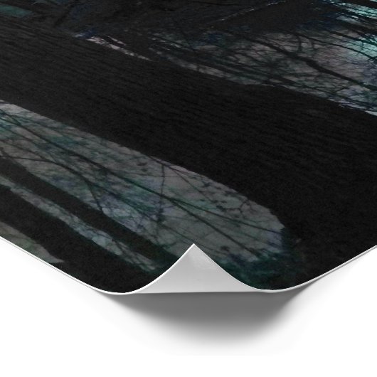 Morning Light Poster (Hoek)