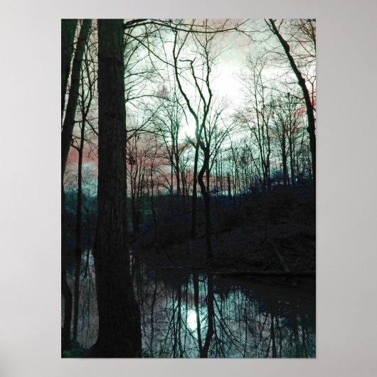 Morning Light Poster (Voorkant)