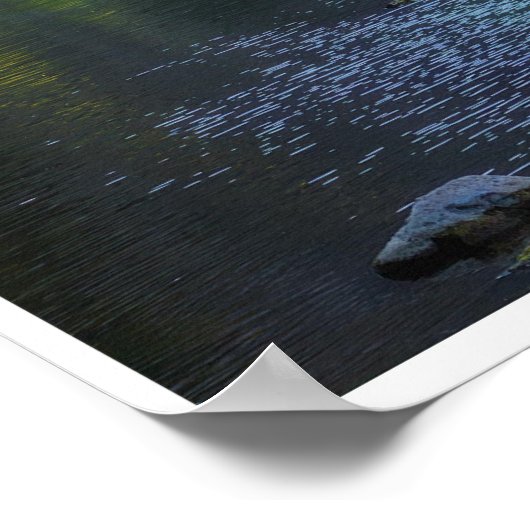 Morning Light Through the Canyon Poster (Hoek)