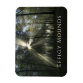 Morning Light through Trees, Effigy Mounds, Iowa Magneet (Verticaal)