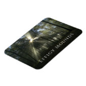 Morning Light through Trees, Effigy Mounds, Iowa Magneet (Linkerzijde)