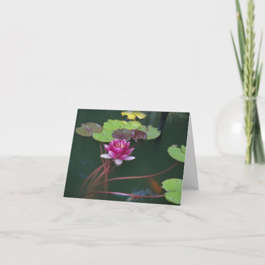 Morning Lily Kaart (Voorkant)