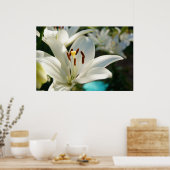 Morning Lily Poster (Keuken)