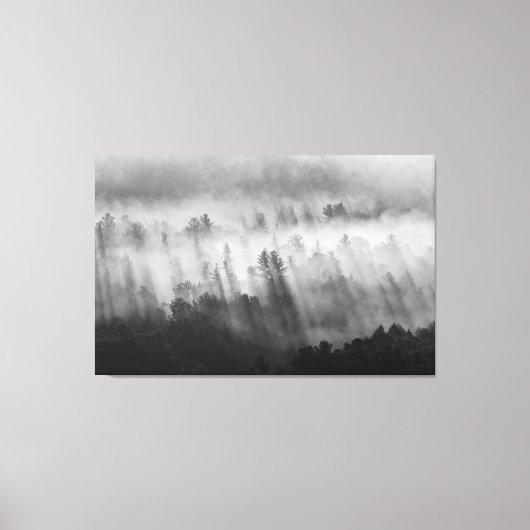 Morning Mist aan de bergkant Canvas Afdruk (Voorkant)