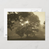 Morning Mist Briefkaart (Voorkant / Achterkant)